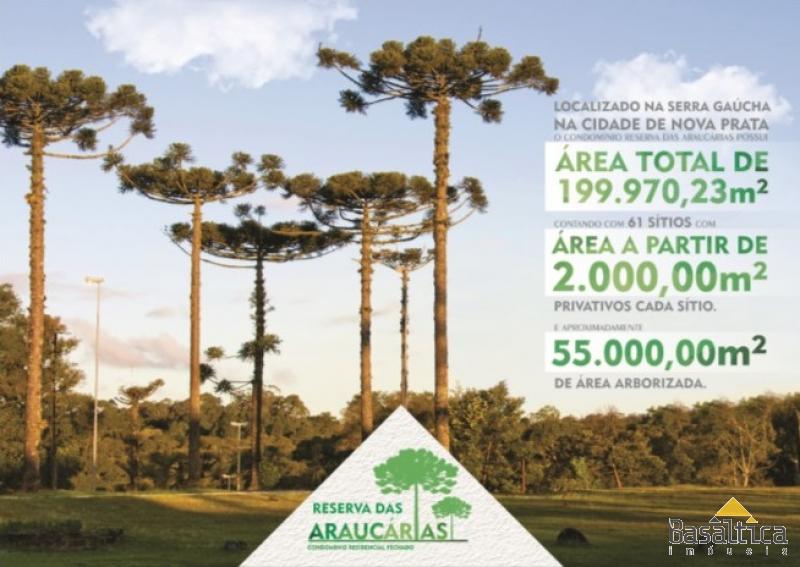 http://www.negocieimoveis.com.br/fotos_g/781e5ba64e406defaeb71ca1e34a53e0.jpg