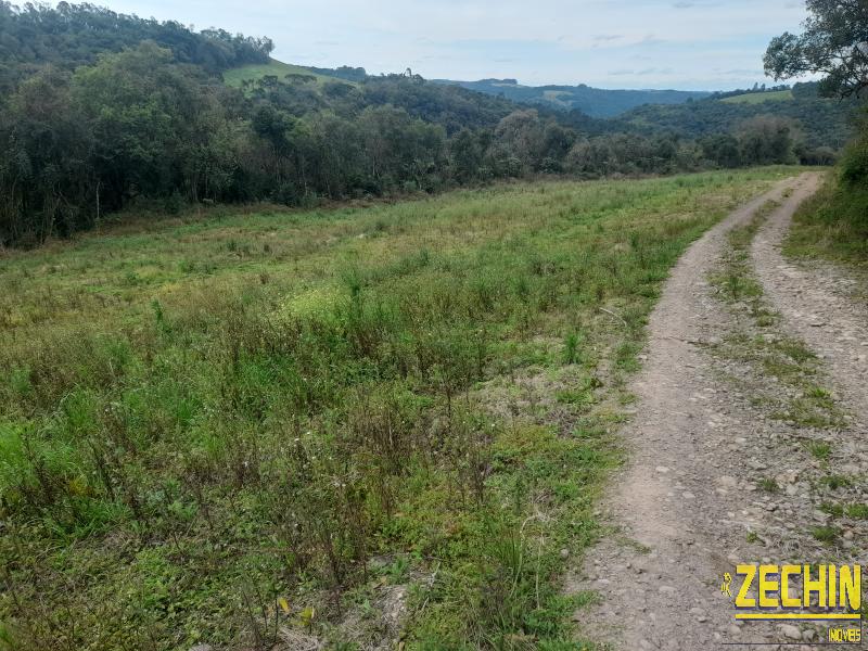ÁREA DE TERRAS em Interior - Nova Prata - RS