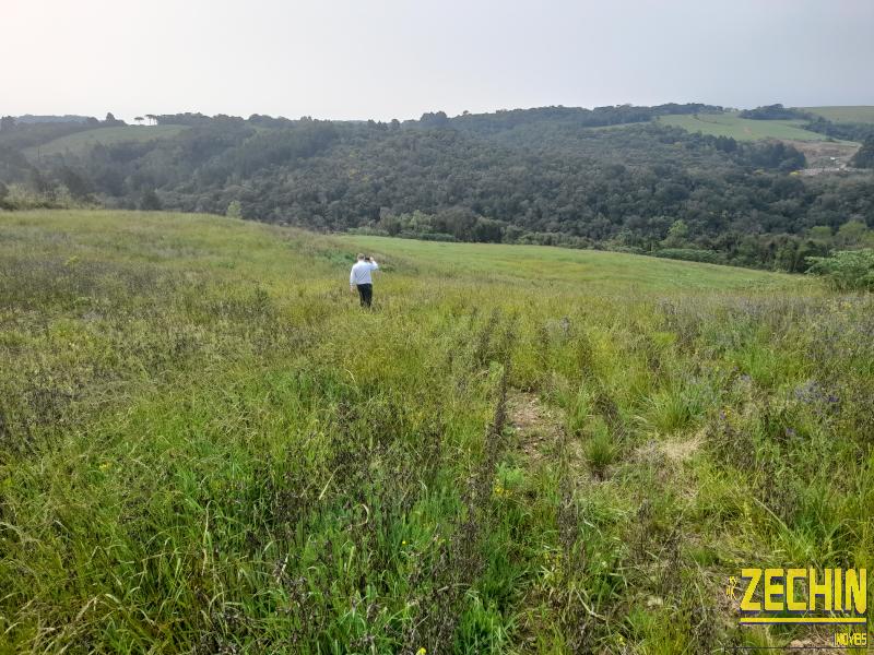 ÁREA DE TERRAS em Interior - Nova Prata - RS