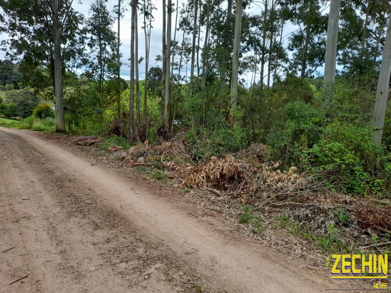 SÍTIO em Interior - Nova Prata - RS