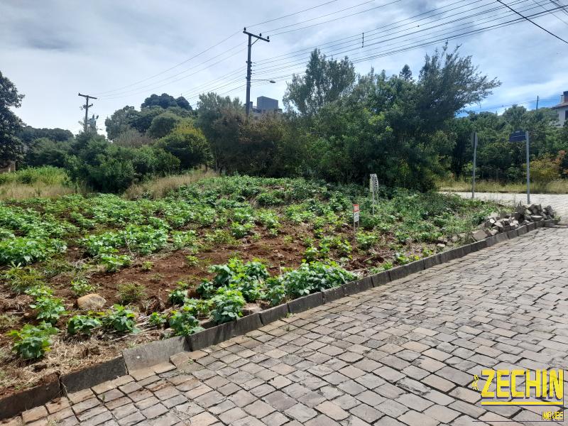 TERRENO em São Peregrino - Nova Prata - RS