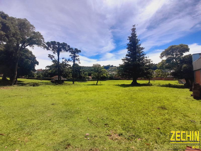 TERRENO em Centro - Nova Prata - RS