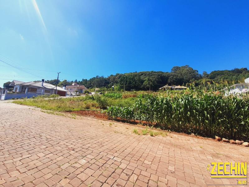 TERRENO em Coroados - Nova Prata - RS