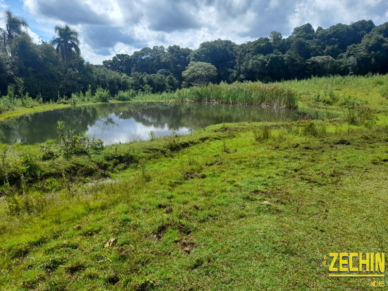 ÁREA DE TERRAS em Interior - Nova Prata - RS