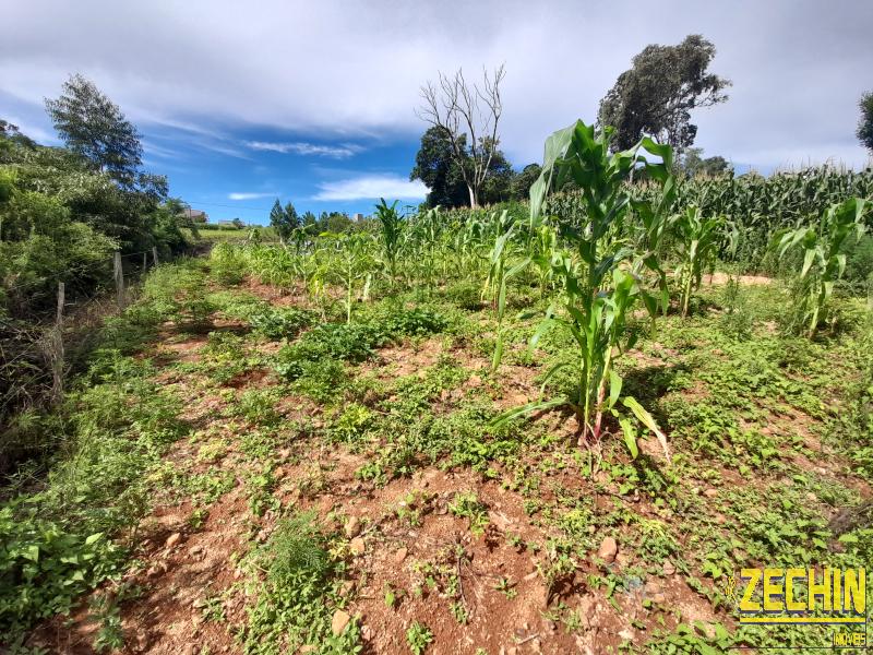 TERRENO em Lot. Zorzi - Nova Prata - RS