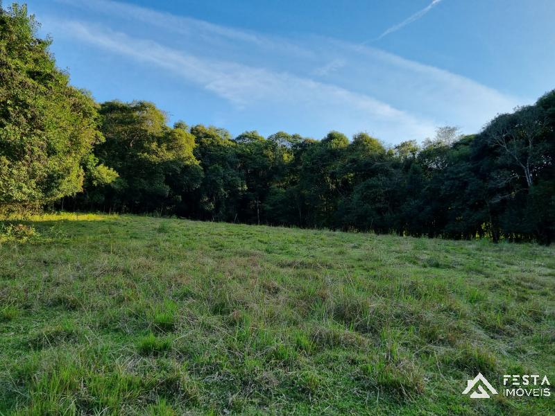 ÁREA DE TERRAS em Interior - Veranópolis - RS