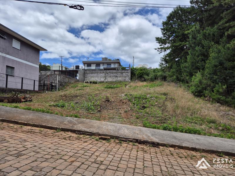 TERRENO em Femaçã - Veranópolis - RS