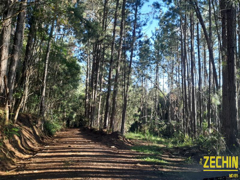 ÁREA DE TERRAS em Interior, Nova Prata - RS