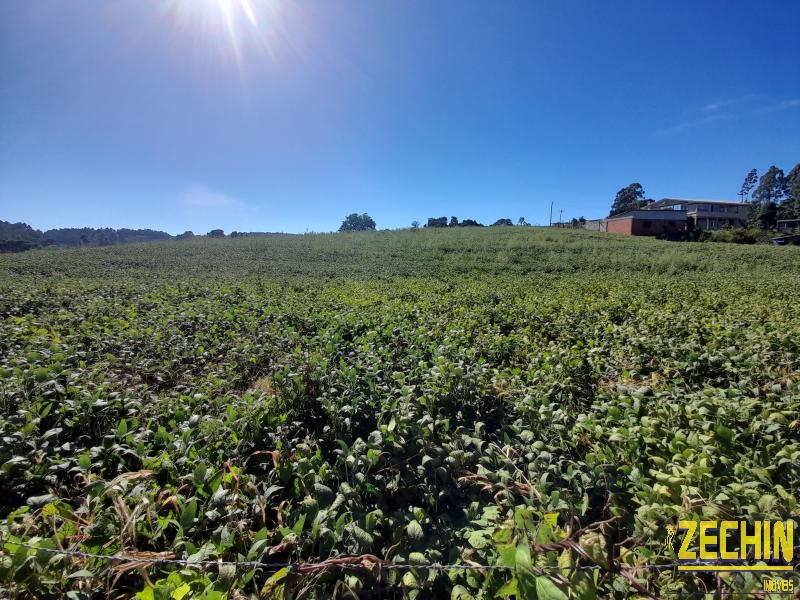 ÁREA DE TERRAS em Aimoré, Vila Flores - RS