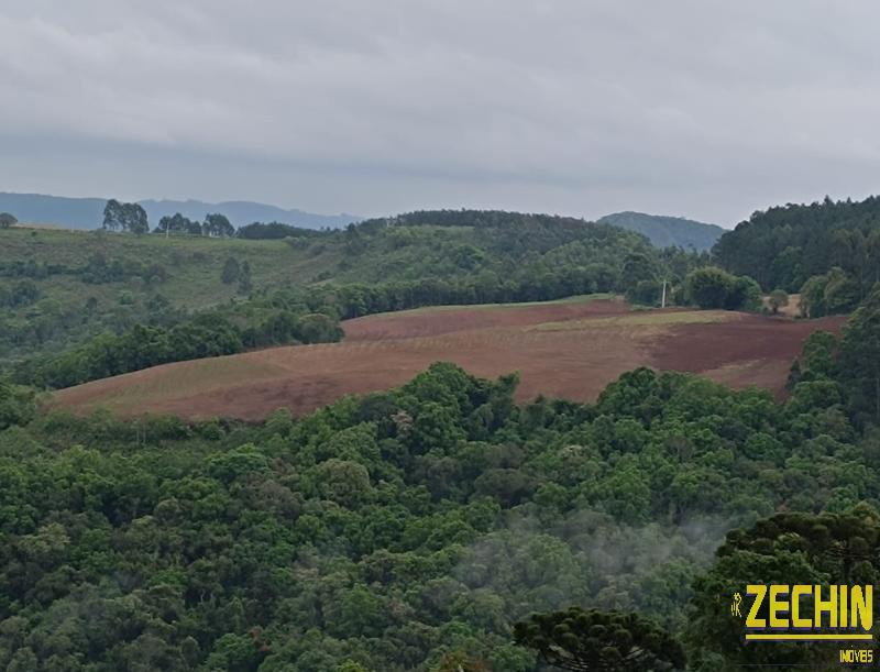 ÁREA DE TERRAS em Interior  - Putinga - RS