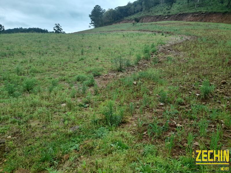 ÁREA DE TERRAS em Interior, Protásio Alves - RS